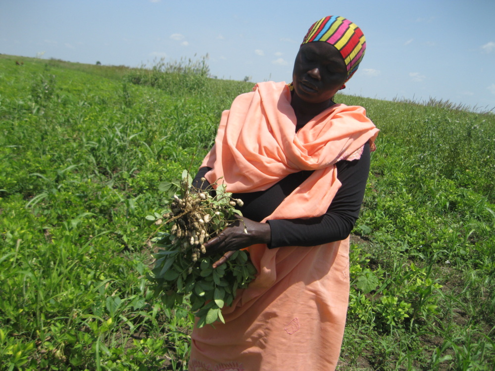 a Sudanese woman farmer stands in a field holding her crops