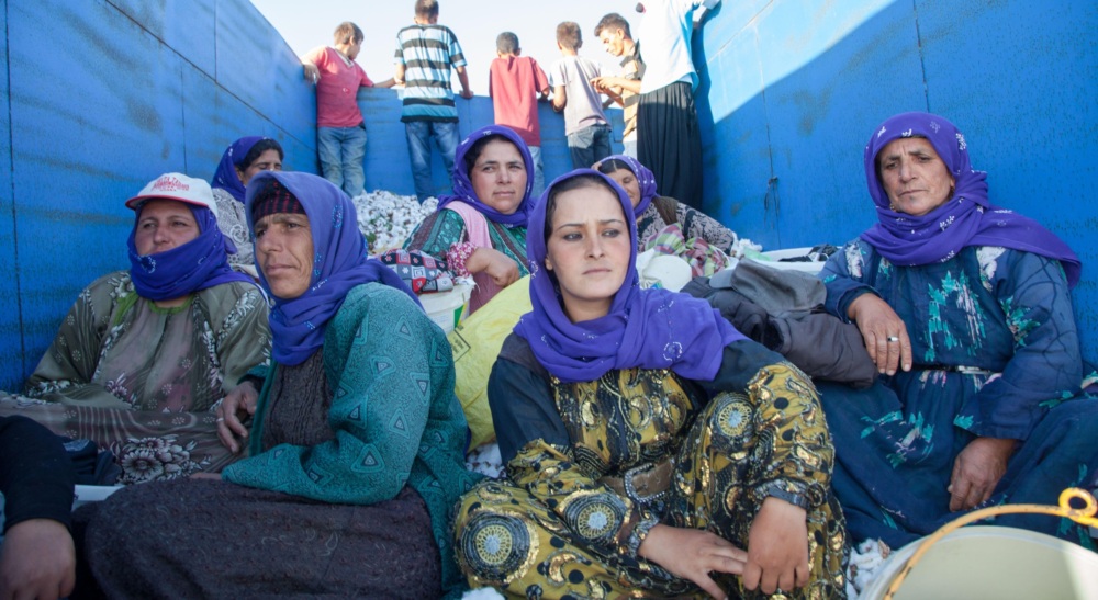 women in the back of large truck going to work in the cotton field