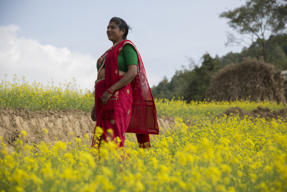 a woman stand in a mustard field in Nepal